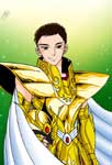 SAINT SEIYA FRIENDS - VER 1