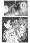 SAINT SEIYA - MANGA - VOLUME 12