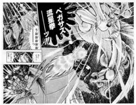 SAINT SEIYA - MANGA - VOLUME 27