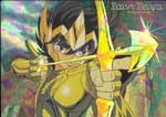 SAINT SEIYA - MERCHANDISING - TRADING CARDS 2000