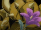 SAINT SEIYA - JUUNIKYUU-HEN - EPISODIO 11